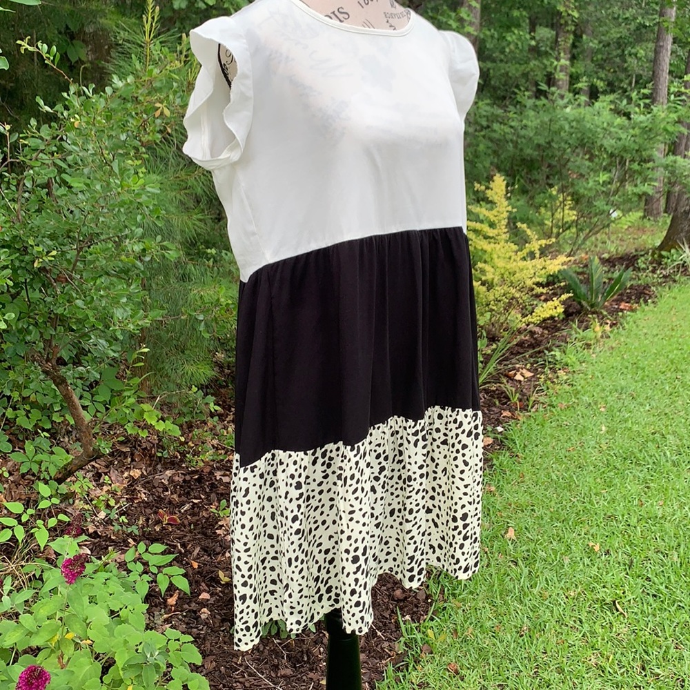 Beachsissi fashion print, color block mini dress